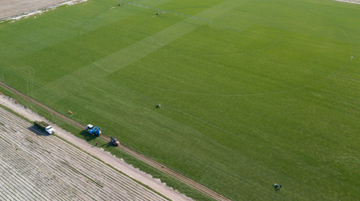 Bethel Farms: A Fresh Perspective on the Sod Landscape