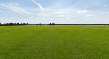 Celebrating Thanksgiving with Football on BIMINI® Bermuda Grass