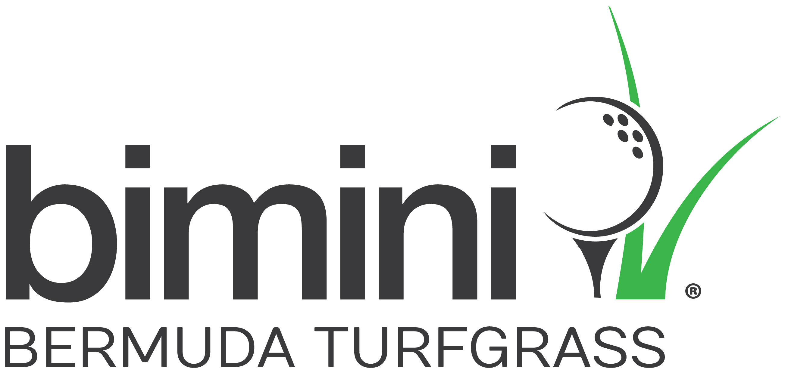BIMINI Bermuda