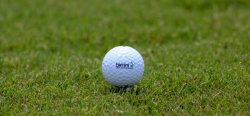 what-is-bimini-bermuda-grass